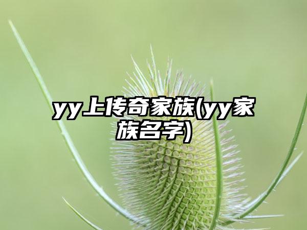 yy上传奇家族(yy家族名字)