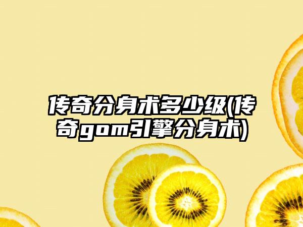 传奇分身术多少级(传奇gom引擎分身术)