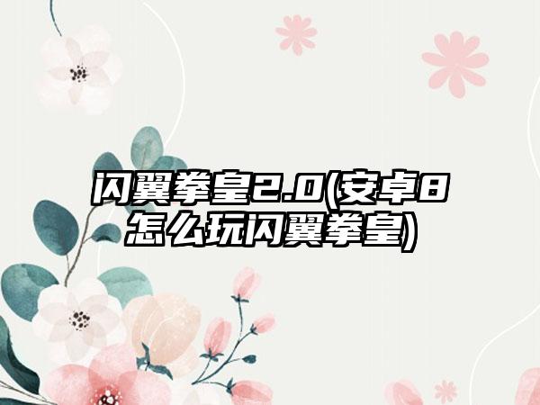 闪翼拳皇2.0(安卓8怎么玩闪翼拳皇)