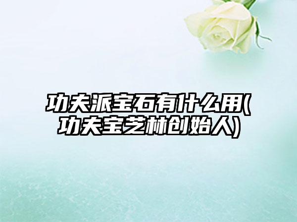 功夫派宝石有什么用(功夫宝芝林创始人)