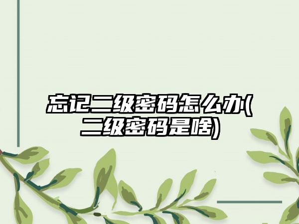 忘记二级密码怎么办(二级密码是啥)