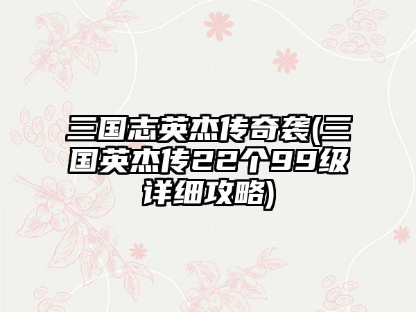 三国志英杰传奇袭(三国英杰传22个99级详细攻略)