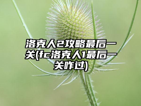 洛克人2攻略最后一关(fc洛克人1最后一关咋过)