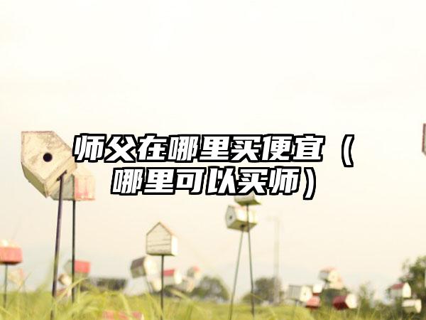 师父在哪里买便宜（哪里可以买师）