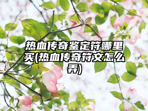 热血传奇鉴定符哪里买(热血传奇符文怎么弄)