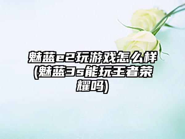 魅蓝e2玩游戏怎么样(魅蓝3s能玩王者荣耀吗)