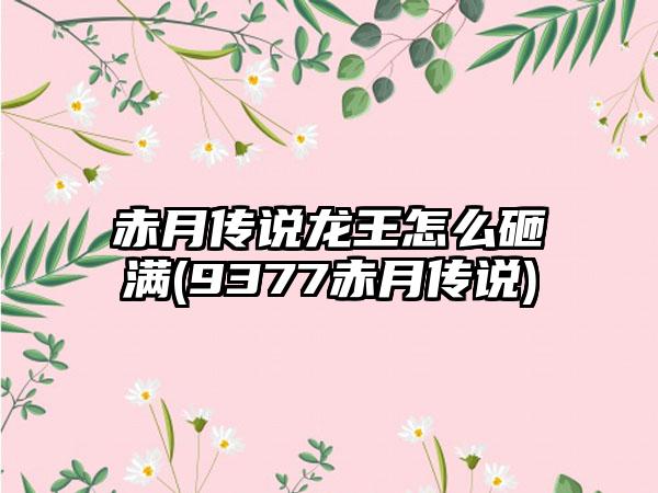 赤月传说龙王怎么砸满(9377赤月传说)