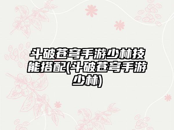 斗破苍穹手游少林技能搭配(斗破苍穹手游少林)