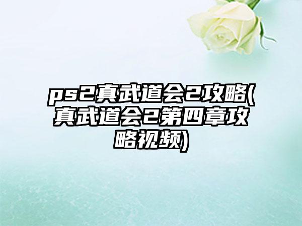 ps2真武道会2攻略(真武道会2第四章攻略视频)