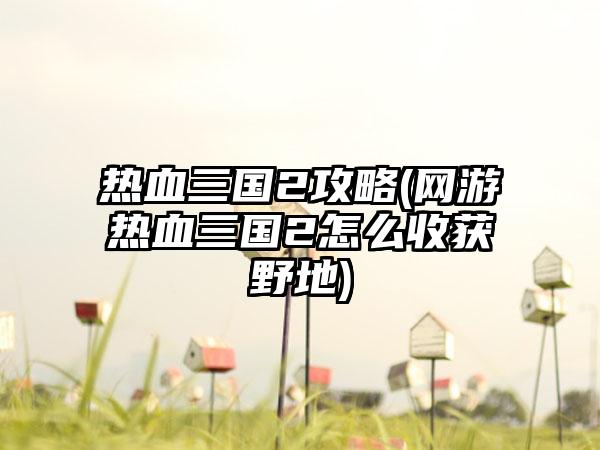 热血三国2攻略(网游热血三国2怎么收获野地)