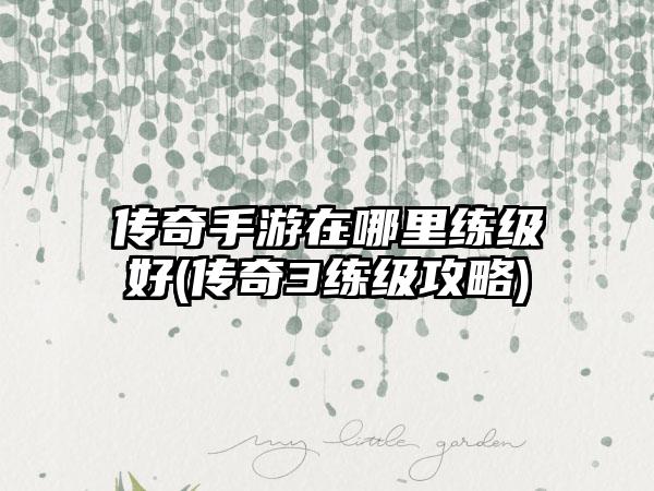传奇手游在哪里练级好(传奇3练级攻略)