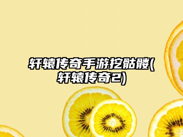 轩辕传奇手游挖骷髅(轩辕传奇2)