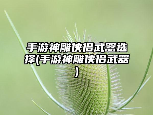 手游神雕侠侣武器选择(手游神雕侠侣武器)