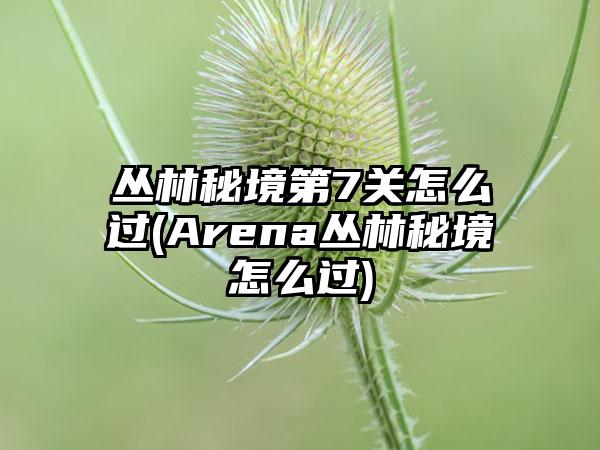 丛林秘境第7关怎么过(Arena丛林秘境怎么过)