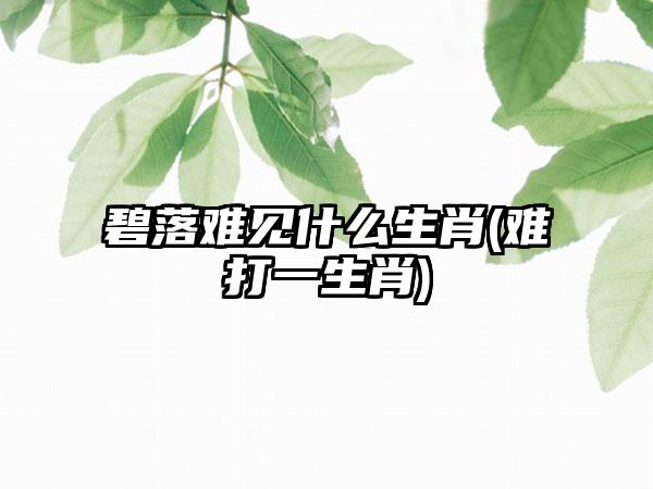 碧落难见什么生肖(难打一生肖)