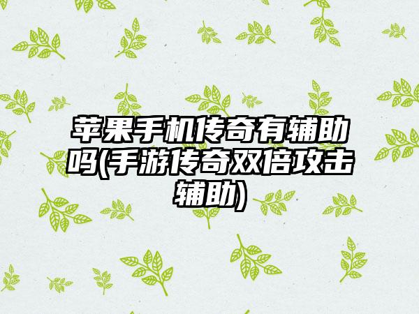 苹果手机传奇有辅助吗(手游传奇双倍攻击辅助)