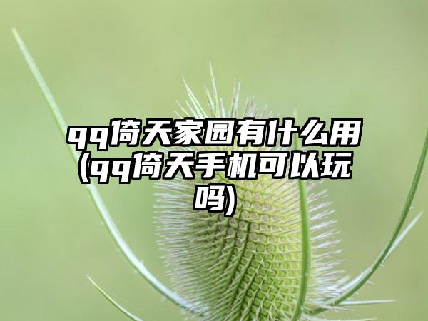 qq倚天家园有什么用(qq倚天手机可以玩吗)