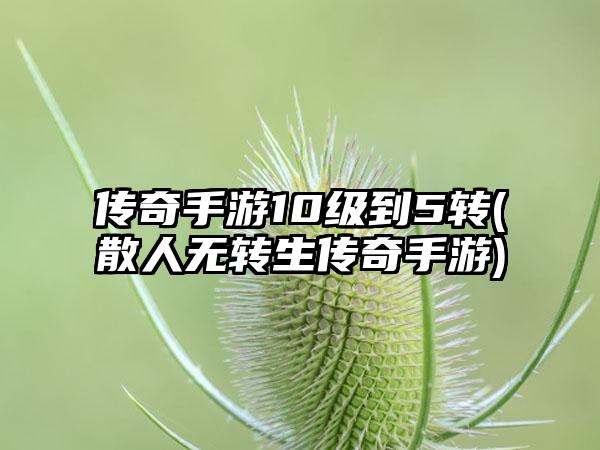 传奇手游10级到5转(散人无转生传奇手游)