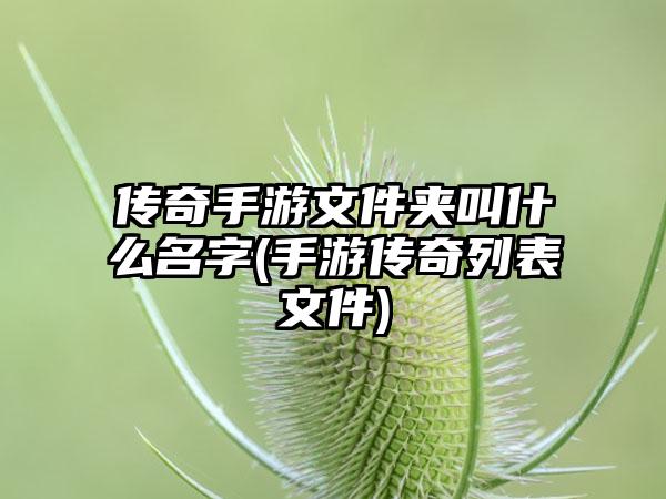 传奇手游文件夹叫什么名字(手游传奇列表文件)