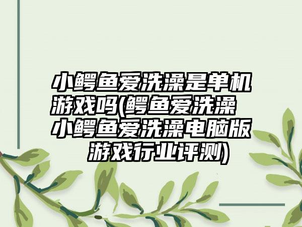 小鳄鱼爱洗澡是单机游戏吗(鳄鱼爱洗澡 小鳄鱼爱洗澡电脑版 游戏行业评测)