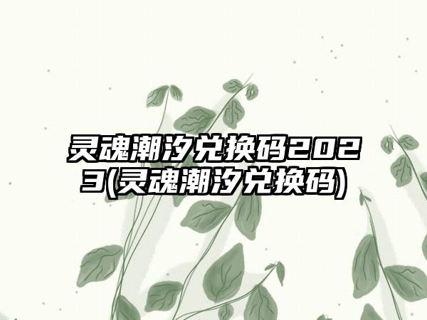 灵魂潮汐兑换码2023(灵魂潮汐兑换码)