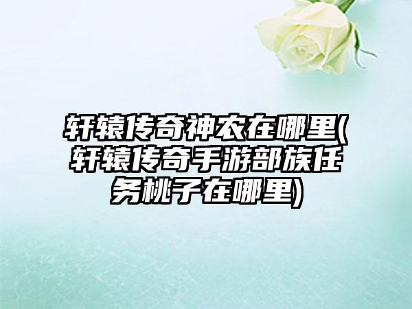 轩辕传奇神农在哪里(轩辕传奇手游部族任务桃子在哪里)