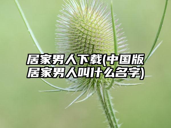 居家男人下载(中国版居家男人叫什么名字)