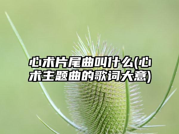 心术片尾曲叫什么(心术主题曲的歌词大意)