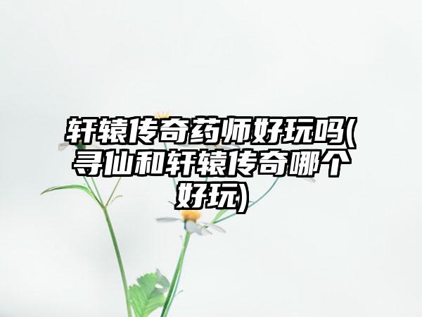 轩辕传奇药师好玩吗(寻仙和轩辕传奇哪个好玩)