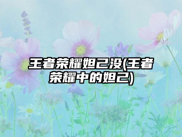 王者荣耀妲己没(王者荣耀中的妲己)
