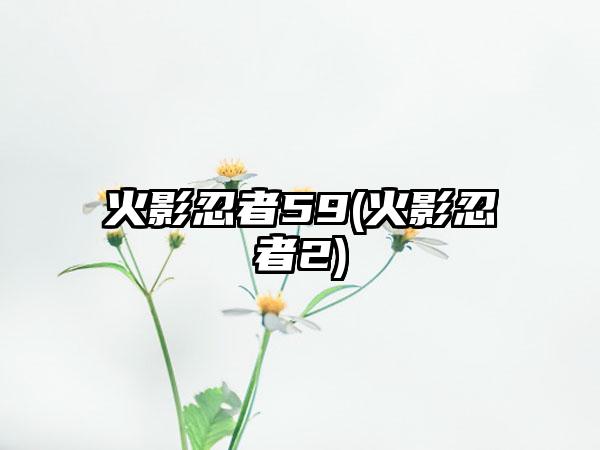 火影忍者59(火影忍者2)