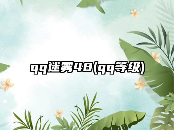 qq迷雾48(qq等级)