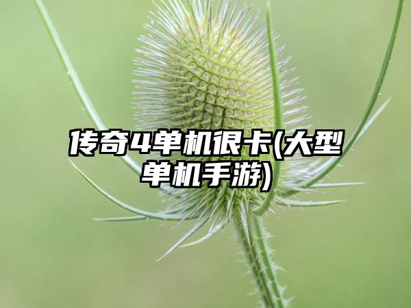 传奇4单机很卡(大型单机手游)