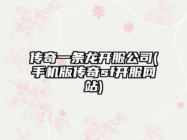传奇一条龙开服公司(手机版传奇sf开服网站)