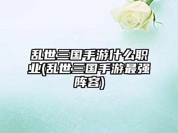 乱世三国手游什么职业(乱世三国手游最强阵容)