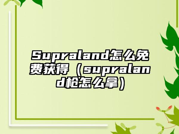 Supraland怎么免费获得（supraland枪怎么拿）