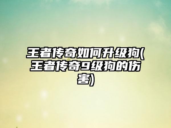 王者传奇如何升级狗(王者传奇9级狗的伤害)