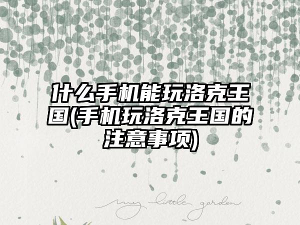 什么手机能玩洛克王国(手机玩洛克王国的注意事项)