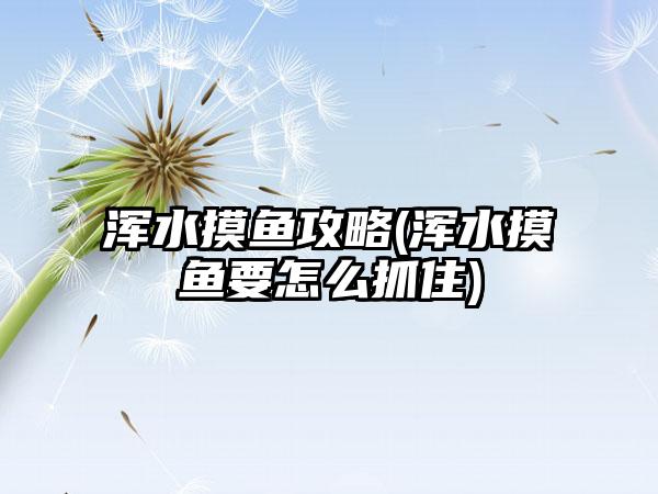 浑水摸鱼攻略(浑水摸鱼要怎么抓住)