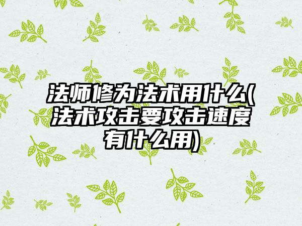 法师修为法术用什么(法术攻击要攻击速度有什么用)
