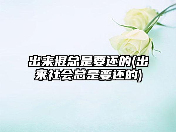 出来混总是要还的(出来社会总是要还的)