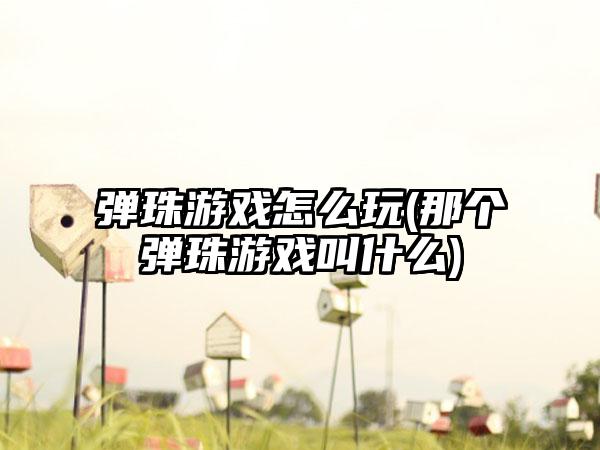 弹珠游戏怎么玩(那个弹珠游戏叫什么)