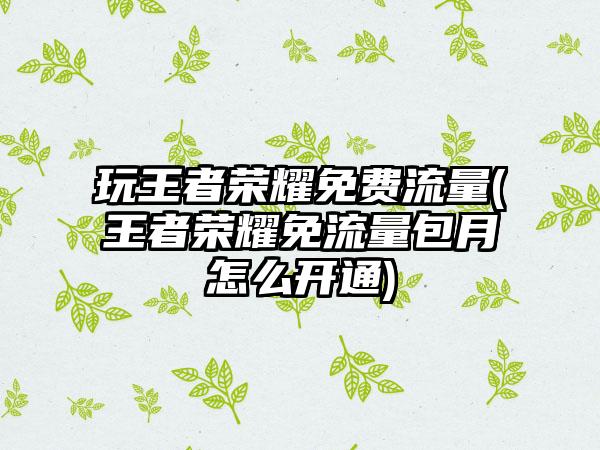 玩王者荣耀免费流量(王者荣耀免流量包月怎么开通)