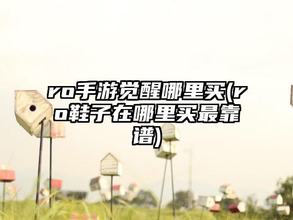 ro手游觉醒哪里买(ro鞋子在哪里买最靠谱)