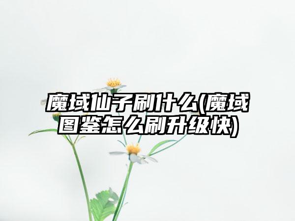 魔域仙子刷什么(魔域图鉴怎么刷升级快)