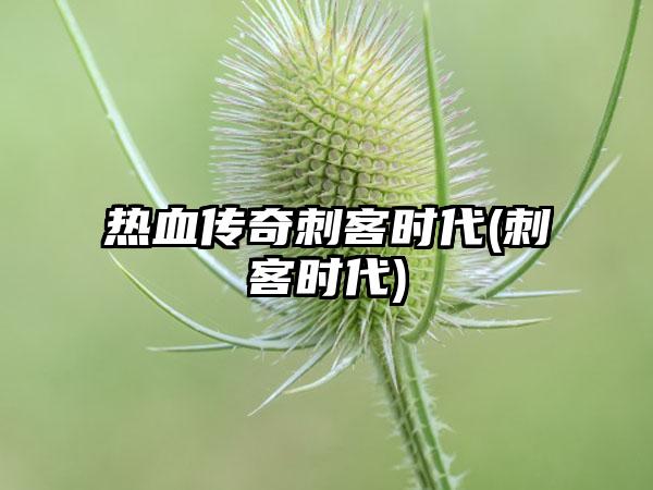 热血传奇刺客时代(刺客时代)