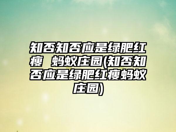 知否知否应是绿肥红瘦 蚂蚁庄园(知否知否应是绿肥红瘦蚂蚁庄园)