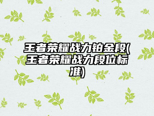 王者荣耀战力铂金段(王者荣耀战力段位标准)