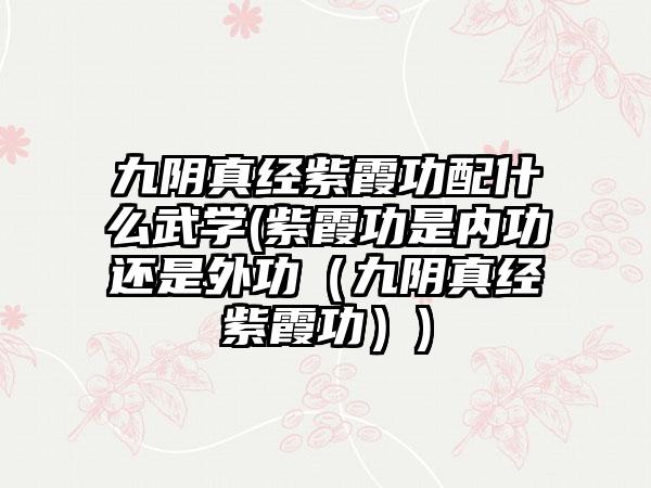 九阴真经紫霞功配什么武学(紫霞功是内功还是外功（九阴真经紫霞功）)
