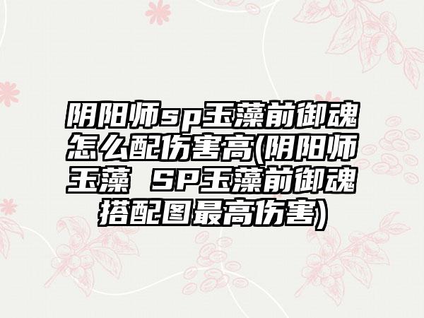 阴阳师sp玉藻前御魂怎么配伤害高(阴阳师玉藻 SP玉藻前御魂搭配图最高伤害)